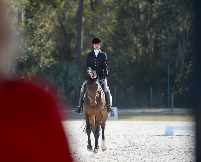 Team Member Roles Rocking Horse Eventing