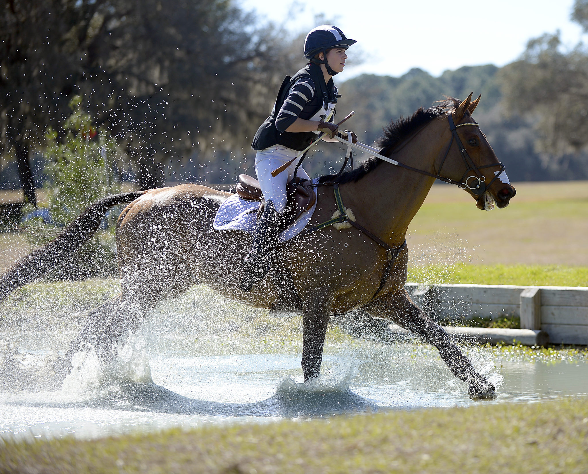 RockingHorse 18
